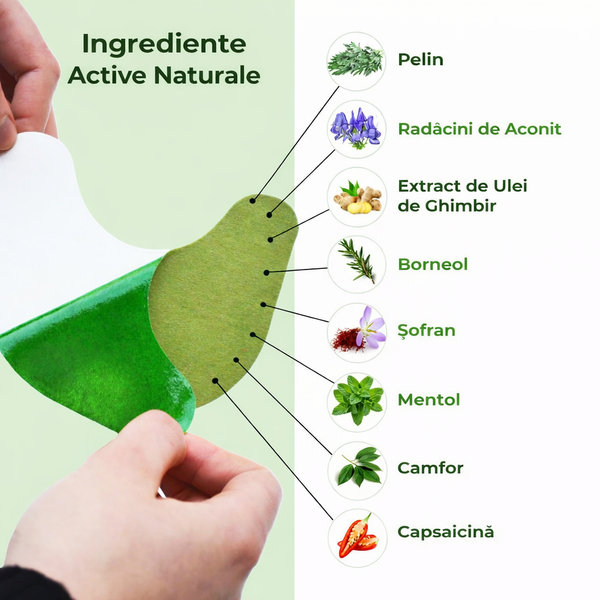 Wellnee Patch Herbal Pentru Genunchi